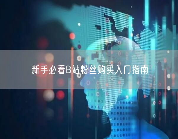 新手必看B站粉丝购买入门指南