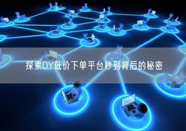 探索DY低价下单平台秒到背后的秘密