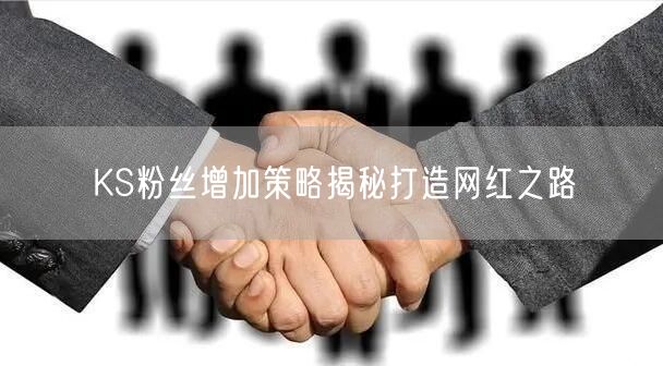 KS粉丝增加策略揭秘打造网红之路