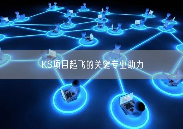 KS项目起飞的关键专业助力