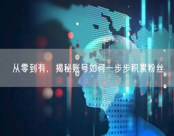 从零到有，揭秘账号如何一步步积累粉丝