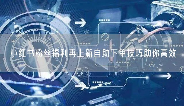 小红书粉丝福利再上新自助下单技巧助你高效