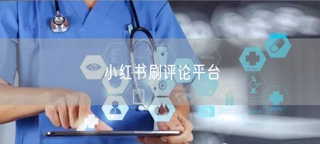 小红书刷评论平台