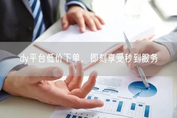 dy平台低价下单，即刻享受秒到服务