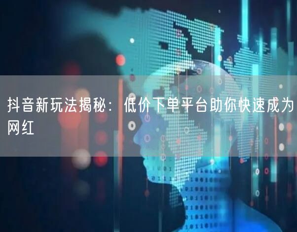 抖音新玩法揭秘：低价下单平台助你快速成为