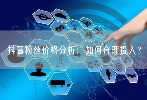 抖音粉丝价格分析：如何合理投入？