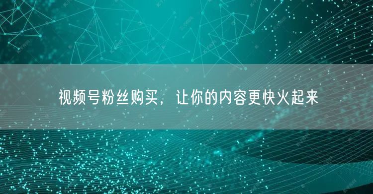 视频号粉丝购买，让你的内容更快火起来