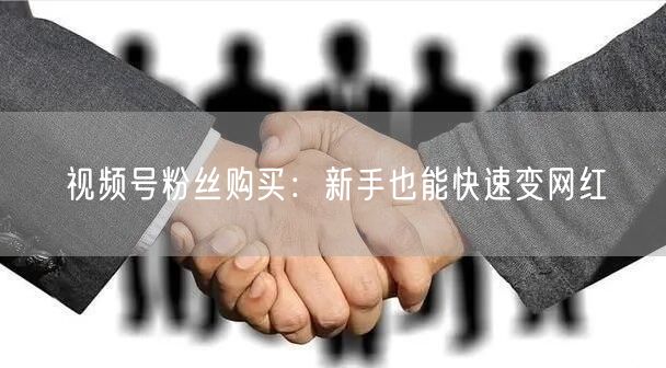 视频号粉丝购买：新手也能快速变网红