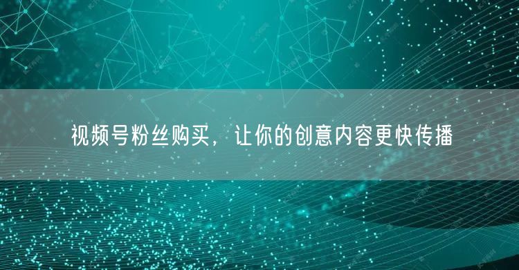 视频号粉丝购买，让你的创意内容更快传播