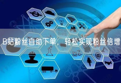 B站粉丝自助下单，轻松实现粉丝倍增
