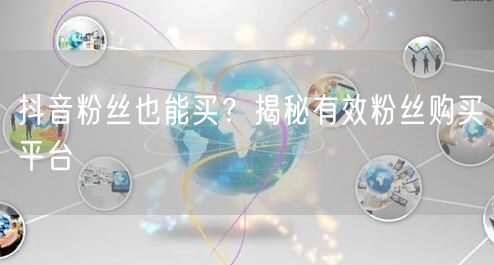 抖音粉丝也能买？揭秘有效粉丝购买平台