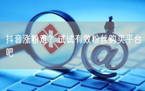 抖音涨粉难？试试有效粉丝购买平台吧