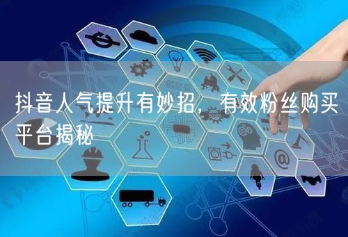 抖音人气提升有妙招，有效粉丝购买平台揭秘