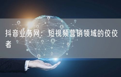 抖音业务网：短视频营销领域的佼佼者
