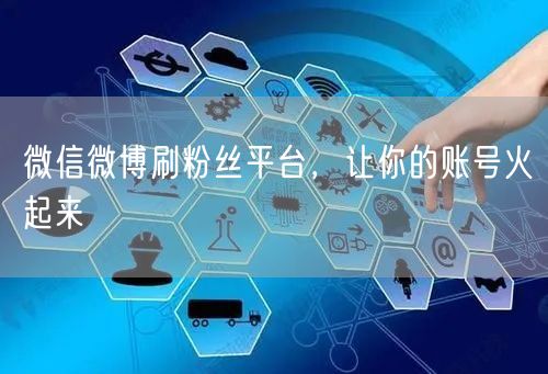 微信微博刷粉丝平台，让你的账号火起来