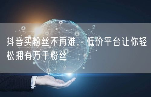 抖音买粉丝不再难，低价平台让你轻松拥有万
