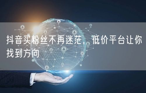 抖音买粉丝不再迷茫，低价平台让你找到方向