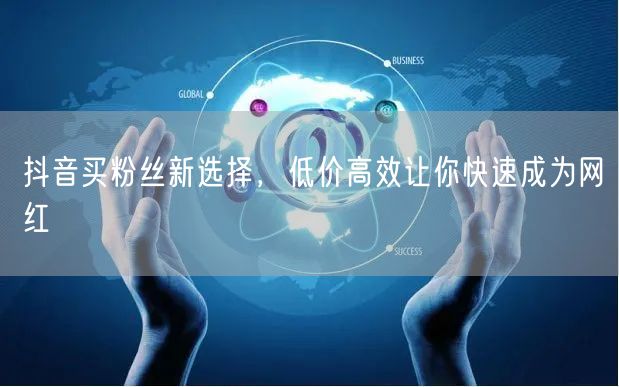 抖音买粉丝新选择，低价高效让你快速成为网