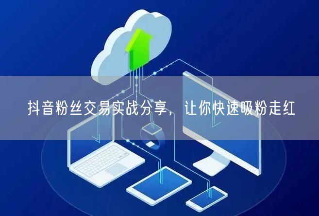 抖音粉丝交易实战分享，让你快速吸粉走红