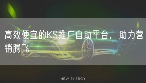 高效便宜的KS推广自助平台，助力营销腾飞