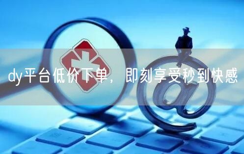 dy平台低价下单，即刻享受秒到快感