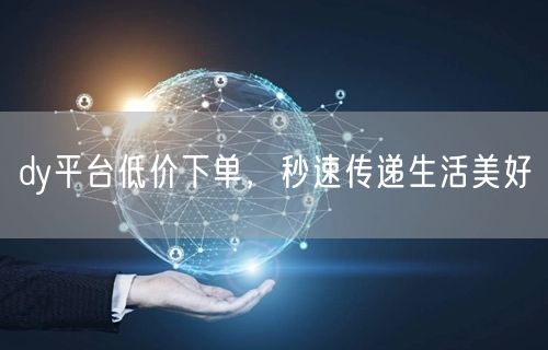 dy平台低价下单，秒速传递生活美好