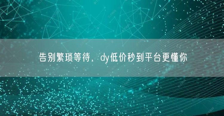 告别繁琐等待，dy低价秒到平台更懂你
