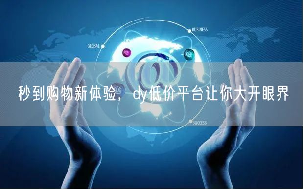秒到购物新体验，dy低价平台让你大开眼界
