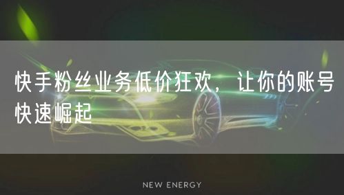 快手粉丝业务低价狂欢，让你的账号快速崛起
