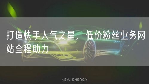 打造快手人气之星，低价粉丝业务网站全程助