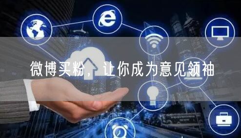 微博买粉，让你成为意见领袖