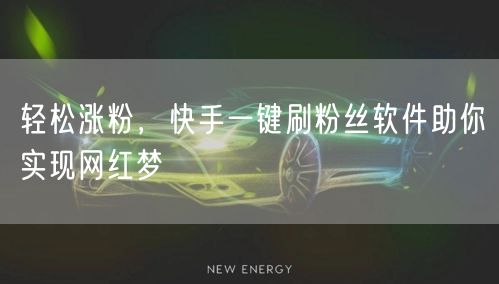 轻松涨粉，快手一键刷粉丝软件助你实现网红