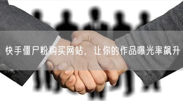 快手僵尸粉购买网站，让你的作品曝光率飙升