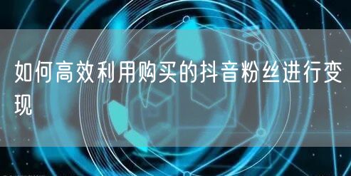 如何高效利用购买的抖音粉丝进行变现
