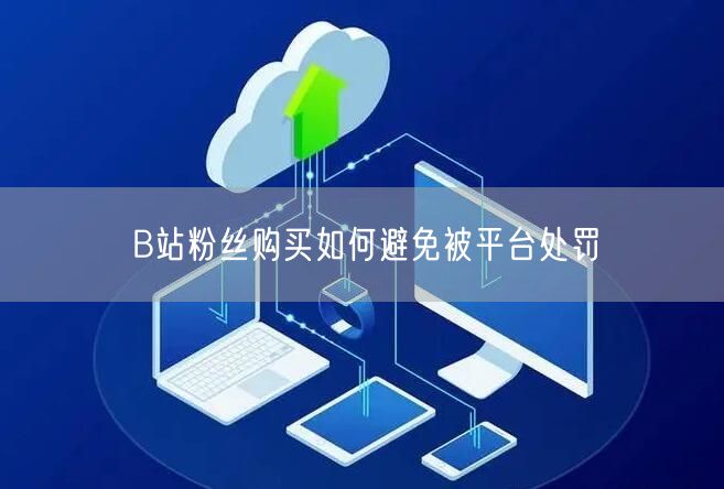 B站粉丝购买如何避免被平台处罚
