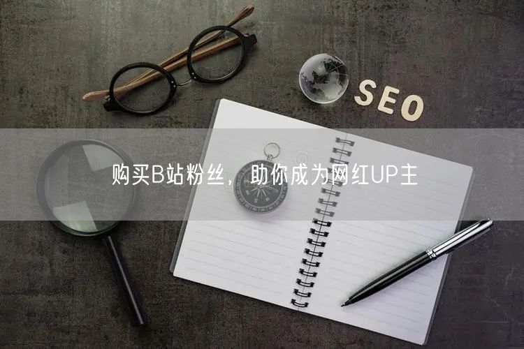 购买B站粉丝，助你成为网红UP主