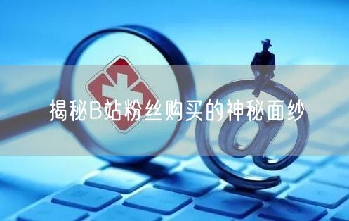 揭秘B站粉丝购买的神秘面纱