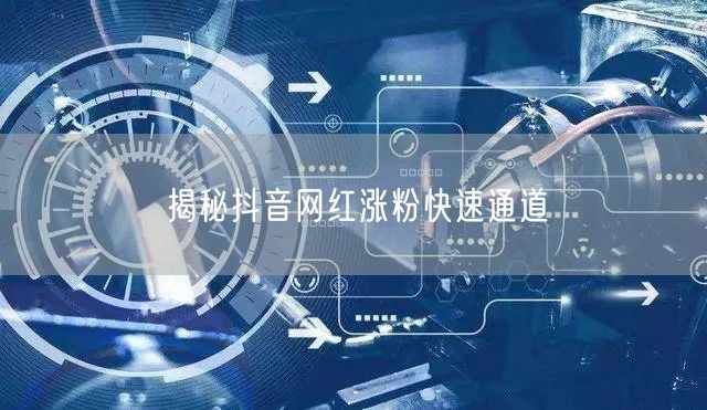 揭秘抖音网红涨粉快速通道