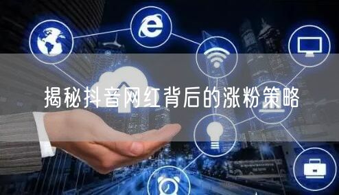 揭秘抖音网红背后的涨粉策略
