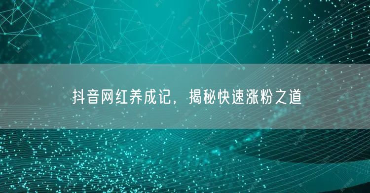 抖音网红养成记，揭秘快速涨粉之道