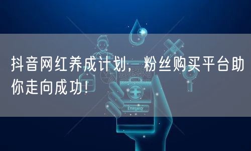 抖音网红养成计划，粉丝购买平台助你走向成