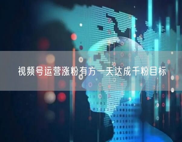 视频号运营涨粉有方一天达成千粉目标
