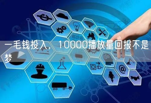 一毛钱投入，10000播放量回报不是梦