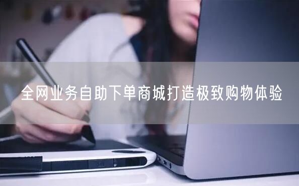 全网业务自助下单商城打造极致购物体验