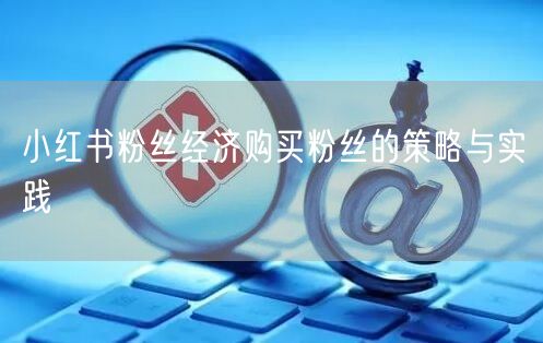 小红书粉丝经济购买粉丝的策略与实践
