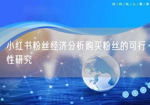 小红书粉丝经济分析购买粉丝的可行性研究