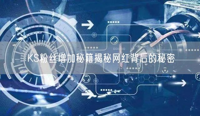 KS粉丝增加秘籍揭秘网红背后的秘密