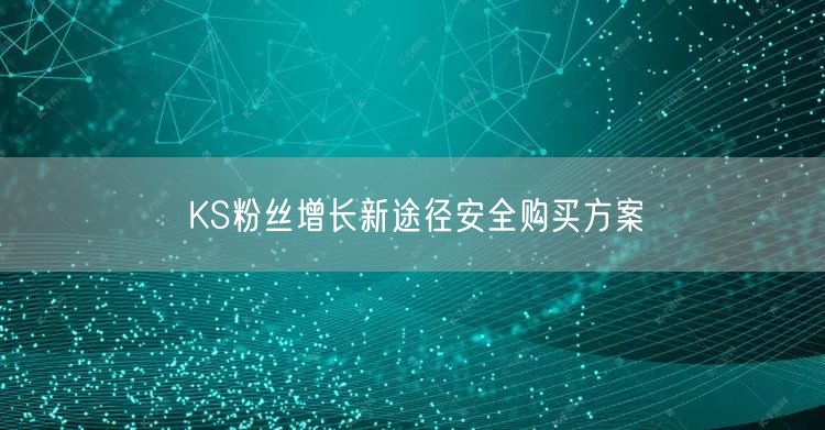 KS粉丝增长新途径安全购买方案