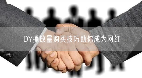 DY播放量购买技巧助你成为网红