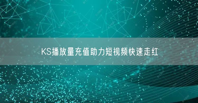 KS播放量充值助力短视频快速走红